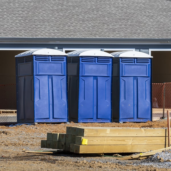 do you offer hand sanitizer dispensers inside the porta potties in Hallsville